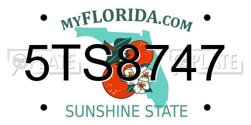 5TS8747 Florida License Plate