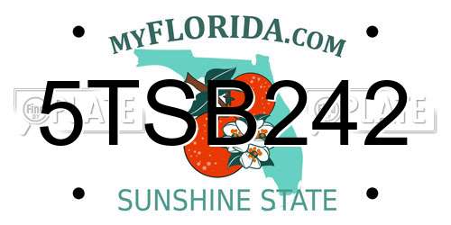 5TSB242 Florida License Plate
