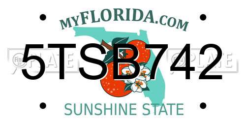 5TSB742 Florida License Plate