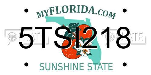 5TSI218 Florida License Plate