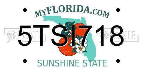 5TSI718 Florida License Plate