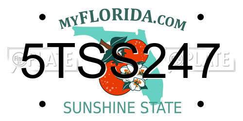 5TSS247 Florida License Plate
