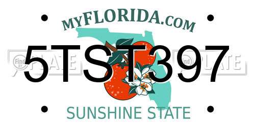 5TST397 Florida License Plate