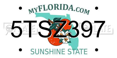 5TSZ397 Florida License Plate