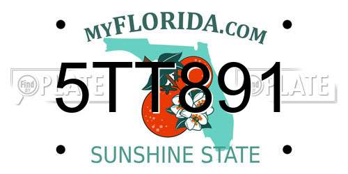 5TT891 Florida License Plate