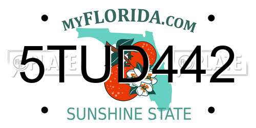 5TUD442 Florida License Plate