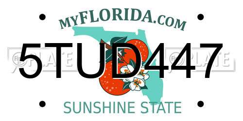 5TUD447 Florida License Plate