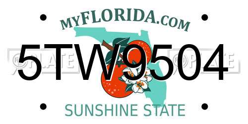 5TW9504 Florida License Plate