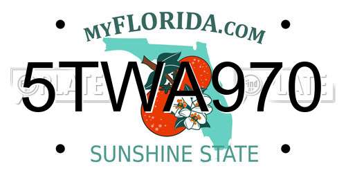 5TWA970 Florida License Plate