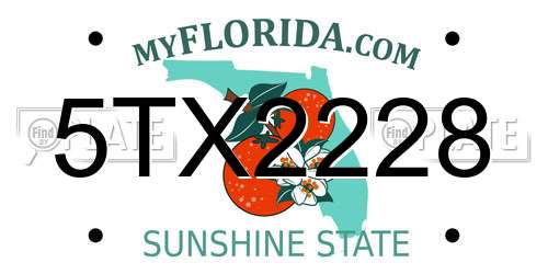 5TX2228 Florida License Plate