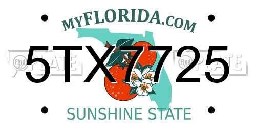 5TX7725 Florida License Plate