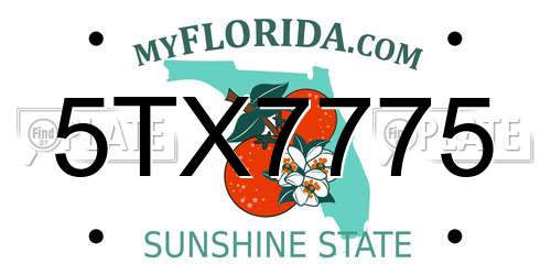 5TX7775 Florida License Plate