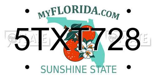 5TXT728 Florida License Plate