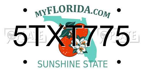 5TXT775 Florida License Plate