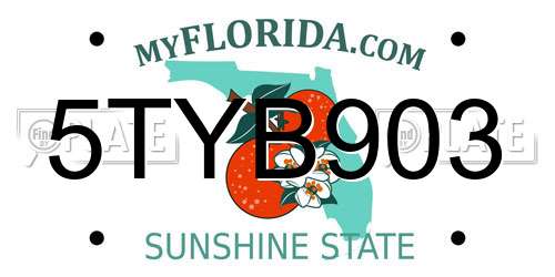 5TYB903 Florida License Plate