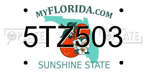 5TZ503 Florida License Plate