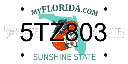5TZ803 Florida License Plate