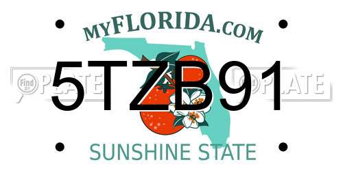 5TZB91 Florida License Plate