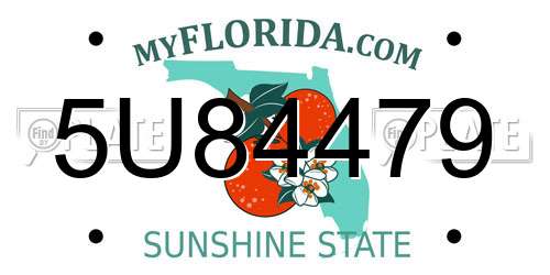 5U84479 Florida License Plate