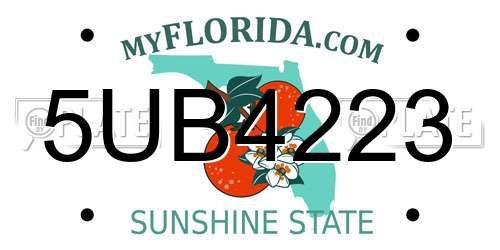 5UB4223 Florida License Plate