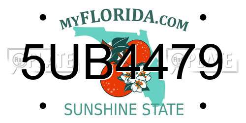 5UB4479 Florida License Plate