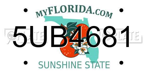 5UB4681 Florida License Plate