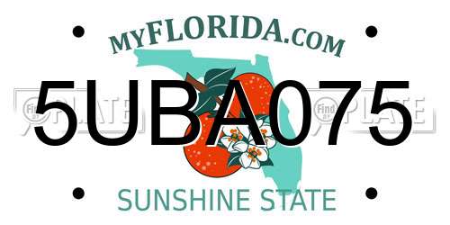 5UBA075 Florida License Plate