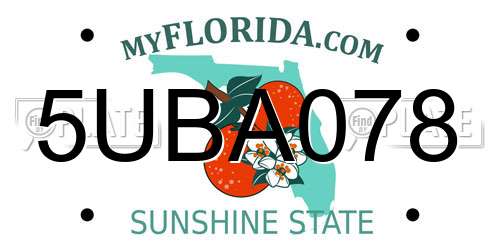 5UBA078 Florida License Plate