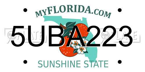 5UBA223 Florida License Plate