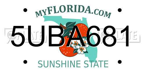 5UBA681 Florida License Plate