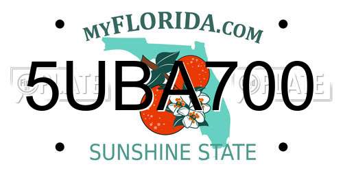 5UBA700 Florida License Plate
