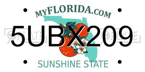5UBX209 Florida License Plate