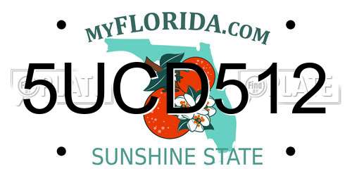 5UCD512 Florida License Plate