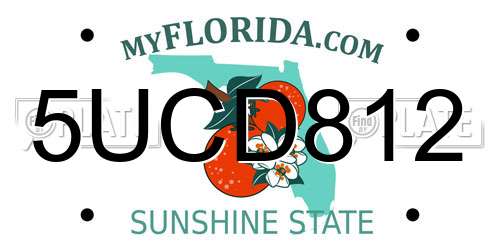 5UCD812 Florida License Plate