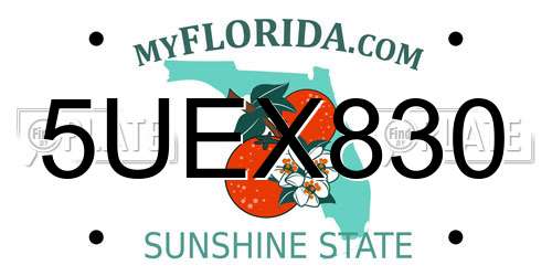 5UEX830 Florida License Plate