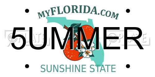 5UMMER Florida License Plate