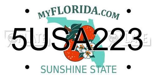 5USA223 Florida License Plate