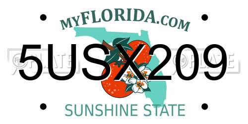 5USX209 Florida License Plate