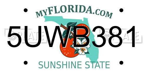 5UWB381 Florida License Plate