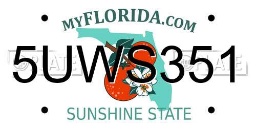 5UWS351 Florida License Plate