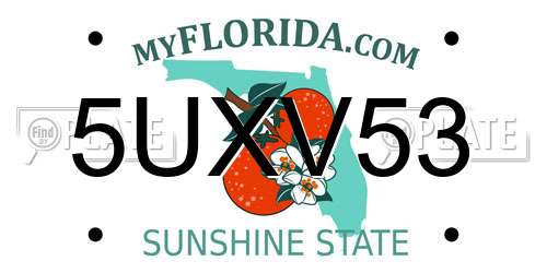 5UXV53 Florida License Plate