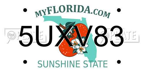 5UXV83 Florida License Plate