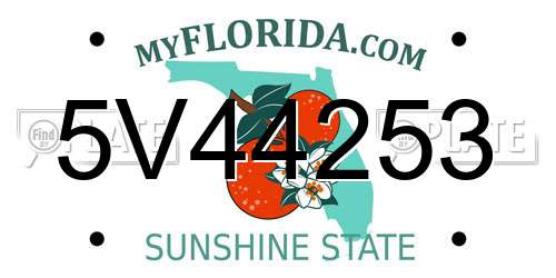 5V44253 Florida License Plate