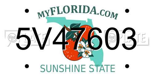 5V47603 Florida License Plate