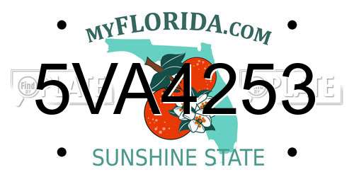 5VA4253 Florida License Plate
