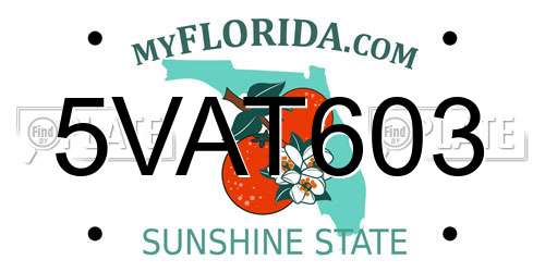 5VAT603 Florida License Plate