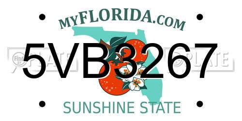 5VB3267 Florida License Plate