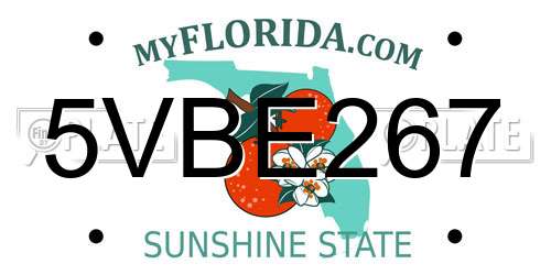 5VBE267 Florida License Plate