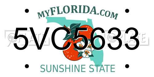 5VC5633 Florida License Plate