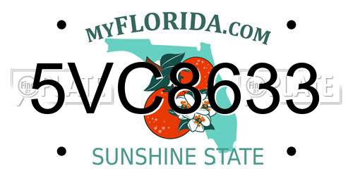 5VC8633 Florida License Plate